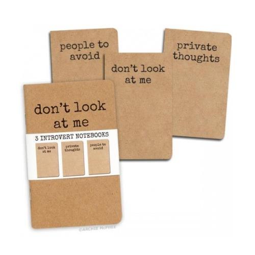 Introvert Notebooks William Valentine