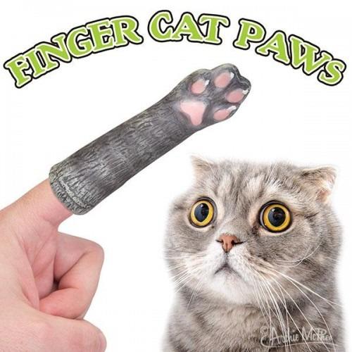 Cat Paw Fingers William Valentine