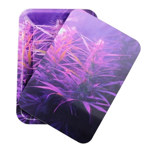 Metal Tray w/3D Lid- Purple Haze Down Under Wholesalers