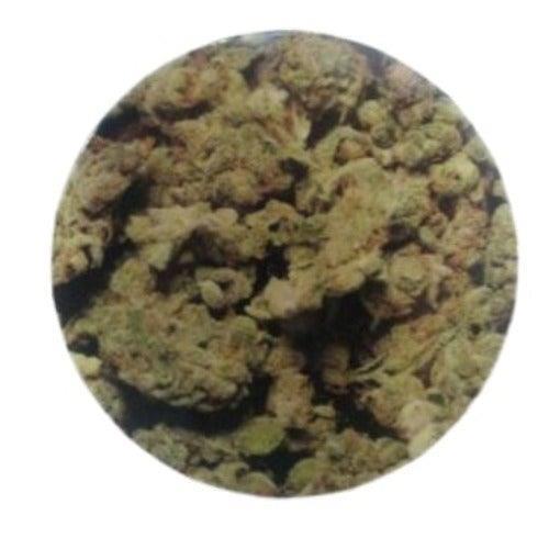 Click Clack Tin- Bud Agung