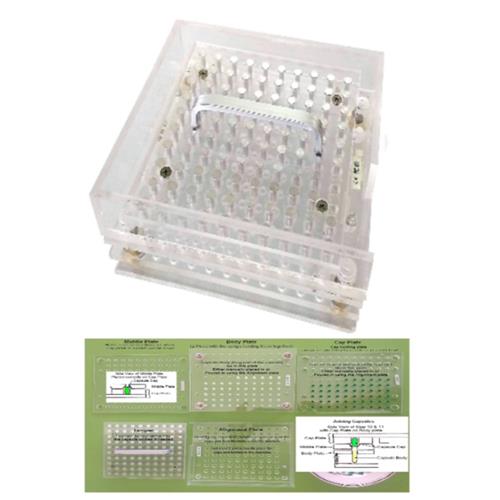 Capsule Machine- Size 4 x100 Amazon