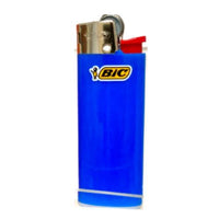 BIC Lighter- Mini