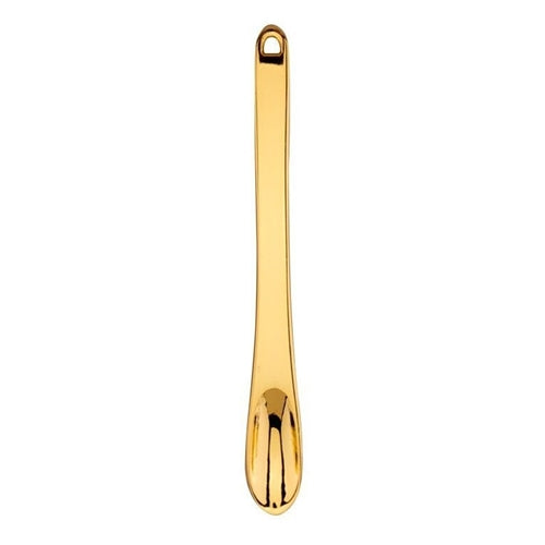 Luxe Mini Spice Spoon DHGate