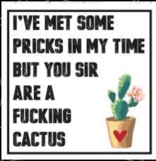 Cactus Card William Valentine