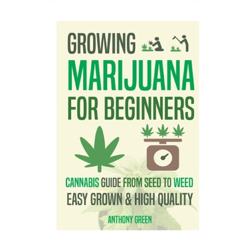 Growing Marijuana for Beginners