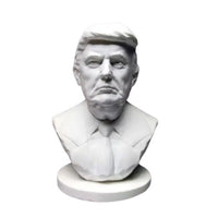 Trump Bust